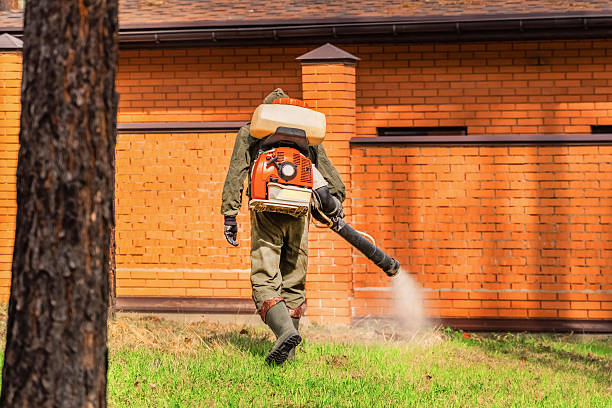 Trusted Emergency Pest Control service in Ridgway, PA - Nex Pest Control